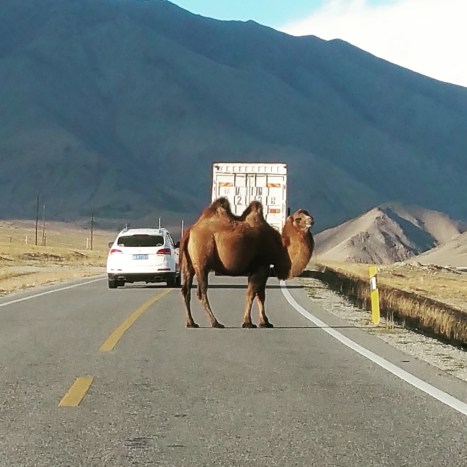 IMG_20170921_221429_355